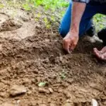 Meaning and Types of Soil for Primary 1 4 Soil