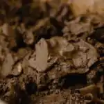 Meaning and Examples of Clay for Primary 2 2 Clay
