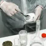 Identification Of Illegal Drugs for Primary 2 4 Drugs