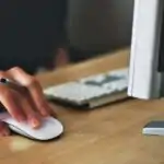 Uses of a Mouse for Primary 2 3 Uses Of A Mouse