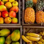 Meaning Of Fruit Crops for Primary 2 1 Fruit Crops
