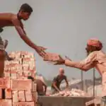 Definition and Benefits of Division of Labour for Primary 3 3 Division Of Labour
