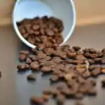 Meaning, Examples and Importance of Plant Protein for Primary 3 2 Plant Protein