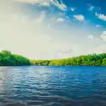 Definition of Water and Sources of Water for Primary 2 2 Water,Definition Of Water,Sources Of Water