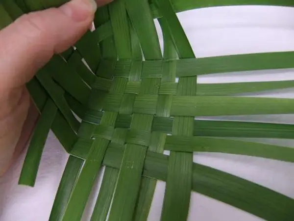 How to weave, Weaving for Primary 5 3 How to weave - Weaving with palm frond