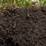 Meaning Of Soil for Primary 4 3 Image for Meaning Of Soil for Primary 4