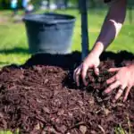 Maintaining Soil Fertility, Mulching for Primary 4 4 Image for Maintaining Soil Fertility, Mulching for Primary 4
