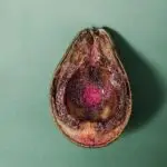 Meaning Of Contaminated Foods for Primary 5 1 Meaning Of Contaminated Foods