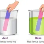 Meaning And Examples Of Acid And Base for Primary 5 3 Image for Meaning And Examples Of Acid And Base for Primary 5