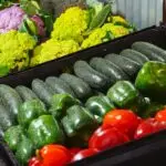 Marketing and Farm Records, Agricultural marketing activities for Primary 6 2 Marketing and Farm Records: Agricultural marketing activities