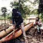 Importance of Traditional Occupations for Primary 5 3 Canoe makers - Importance of Traditional Occupations