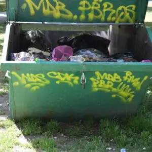 Family Health: Sanitation