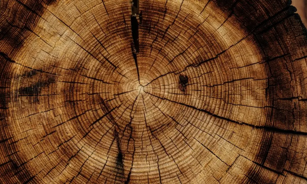 Lesson Note on Materials and Their Common Uses: Wood and Metal for JSS 2 1 Lesson Note on Materials and Their Common Uses: Wood and Metal for JSS 2