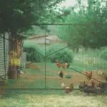 Lesson Note on Farm Buildings: Poultry House, Pen, Store, Office, Utility Building and Security Post for JSS 2 (JSS2) 4 Farm Buildings
