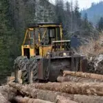 Lesson Note on Uses of Forest Resources, Effects on Environment, and Human Activities Affecting Forests for JSS 3 (JSS3) 1 Uses of Forest Resources