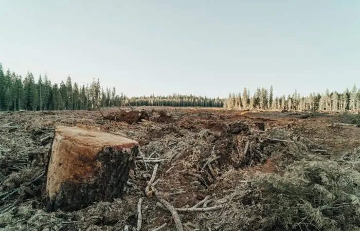 Desertification