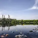 Consequences of Pollution, Water Borne Diseases, Soil Fertility and Control Measures for JSS 1 1 Consequences of Pollution
