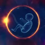 Female and Male Reproductive Organs, Functions and Care for JSS 1 1 Female and Male Reproductive Organs