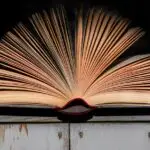 Lesson Note on Literature Term: Figures of Speech for SS1 (SSS 1) 4 Literature Term: Figures of Speech