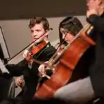 Lesson Note on Maintenance and Servicing: Orchestra Instrument Identification for SS1 (SSS 1) 3 Maintenance and Servicing: Orchestra Instrument Identification