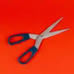 Lesson Note on Visual Arts Functions: Utilitarian, Aesthetic, Religious, Political and Educational Uses for SS1 (SSS 1) 4 Visual Arts Functions: Utilitarian, Aesthetic, Religious, Political and Educational Uses