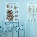 Lesson Note on Digestive System: Digestion and Absorption Basics for SS1 (SSS 1) 1 Digestive System: Digestion and Absorption Basics for SS1 (SSS 1)