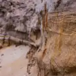 Denudation, Types, Sequence and Weathering Factors for SS 3 1 Denudational Process: Meaning, Types and Weathering Factors