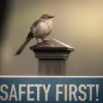 First Term Security Education Examination for Primary 2 3 First Term Security Education Examination