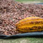 Second Term Agricultural Science Examination for JSS 3 1 Second Term Agricultural Science Examination
