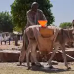 Lesson Note on The Sokoto Caliphate Continued: Birth and Administration for SS 2 1 The Sokoto Caliphate Continued: Birth and Administration for SS 2