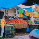 Lesson Note on Agriculture: Marketing and Prospects in Nigeria for SS 2 3 Agriculture: Marketing and Prospects in Nigeria for SS 2