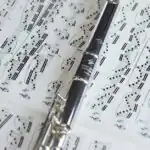 Lesson Note on Western Musical Instruments: Meaning, Woodwind and Brass for SSS 2 3 Western Musical Instruments: Meaning, Woodwind and Brass